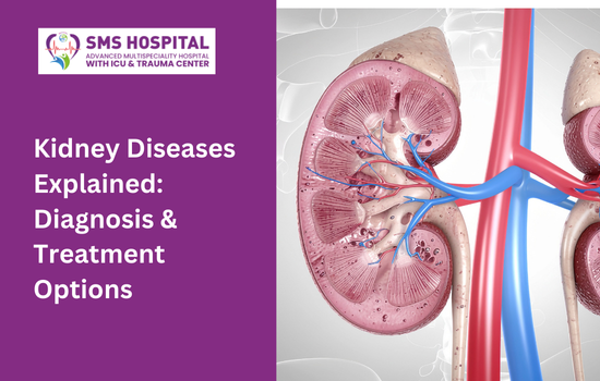 Kidney Diseases Explained
